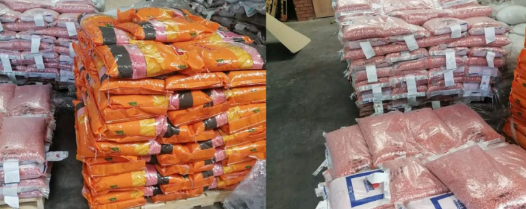 Newsday Media | Seahlolo