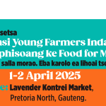 Mzansi Young Farmers Indaba 2025: A Golden Opportunity for Basotho Farmers