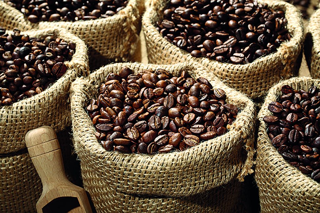 Ethiopian Investor Eyes Coffee Production Opportunities in Lesotho