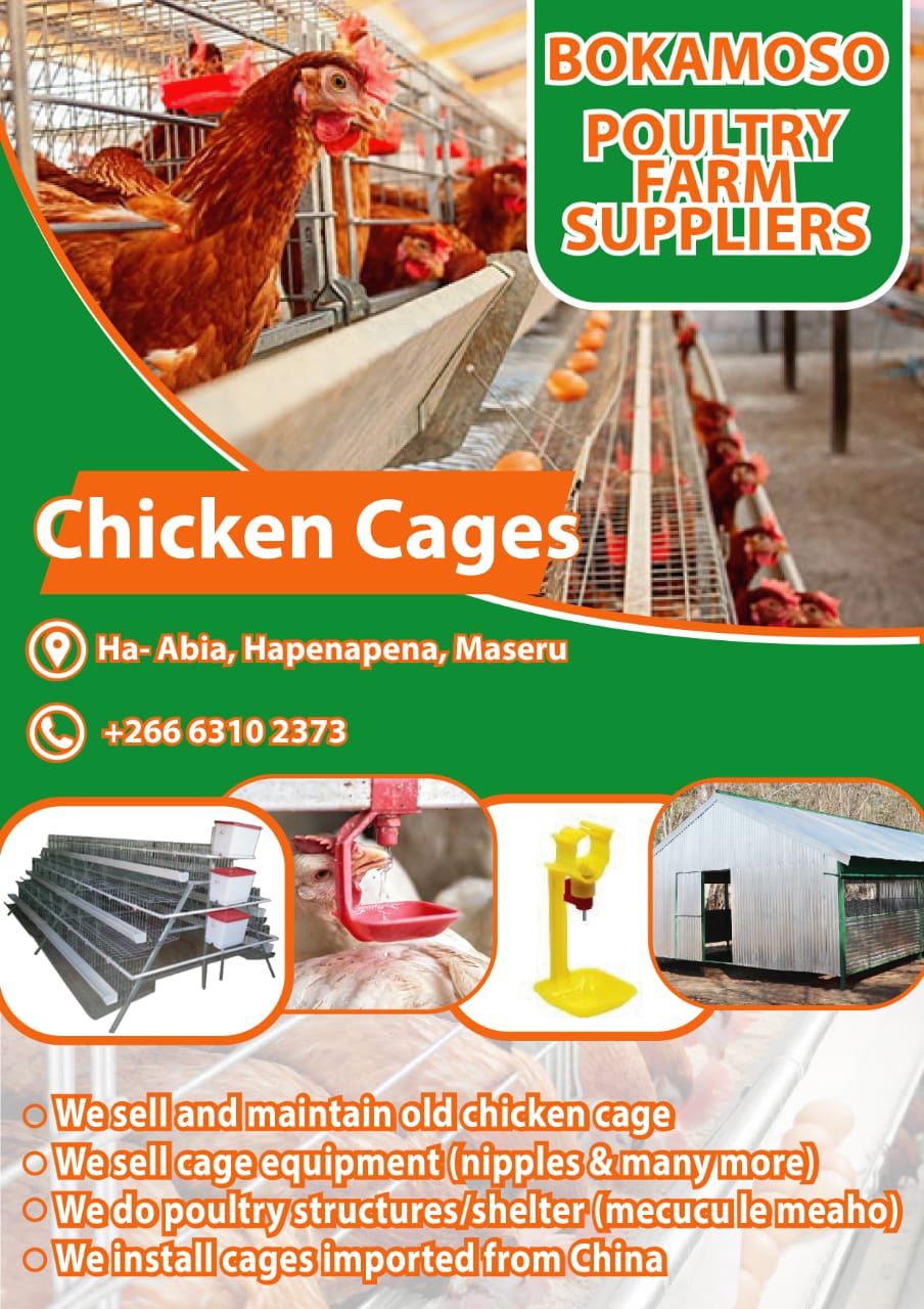 Chicken cages