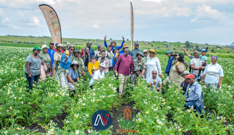 Next Level and RegenZ launched the Solynta Hybrid True Potato Seed (HTPS) at Qalakheng Evergreen Farms in Mohale’s Hoek