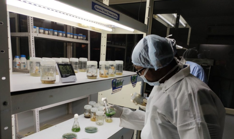 A plant tissue culture laboratory.