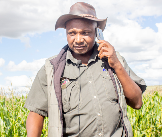 The Journey of Lepeli Moeketsi from Lost Yields to Resilient Fields