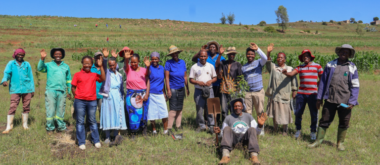 Land Rehabilitation Initiative through treet planting by ROLL