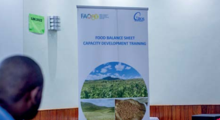 Stakeholders Trained on Food Balance Sheet to Support Evidence-Based Food and Nutrition Policies