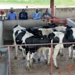 The National Dairy Board Prepares for Batch 10, Aims to Expand Dairy Impact