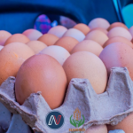 Lesotho’s Poultry Dreams Grounded