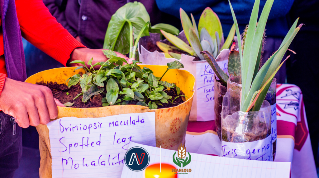 Students and Farmers Unite at High School Agriculture Fair