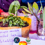 Students and Farmers Unite at High School Agriculture Fair