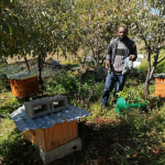 From Health Advice to Honey Empire