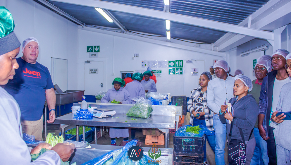 The AgrInvest, A Blueprint for an Inclusive, Investable Future