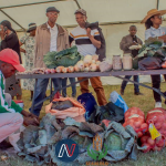Mohale’s Hoek Vegetable Farmers Reap Big with Best Practices