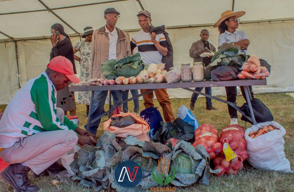 Mohale’s Hoek Vegetable Farmers Reap Big with Best Practices