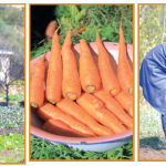 A Farmer’s Fight for Relevance