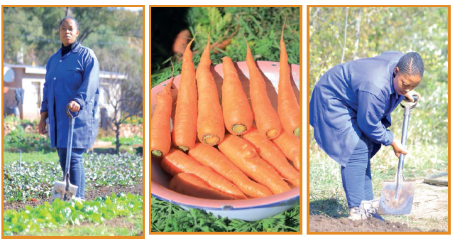 A Farmer’s Fight for Relevance