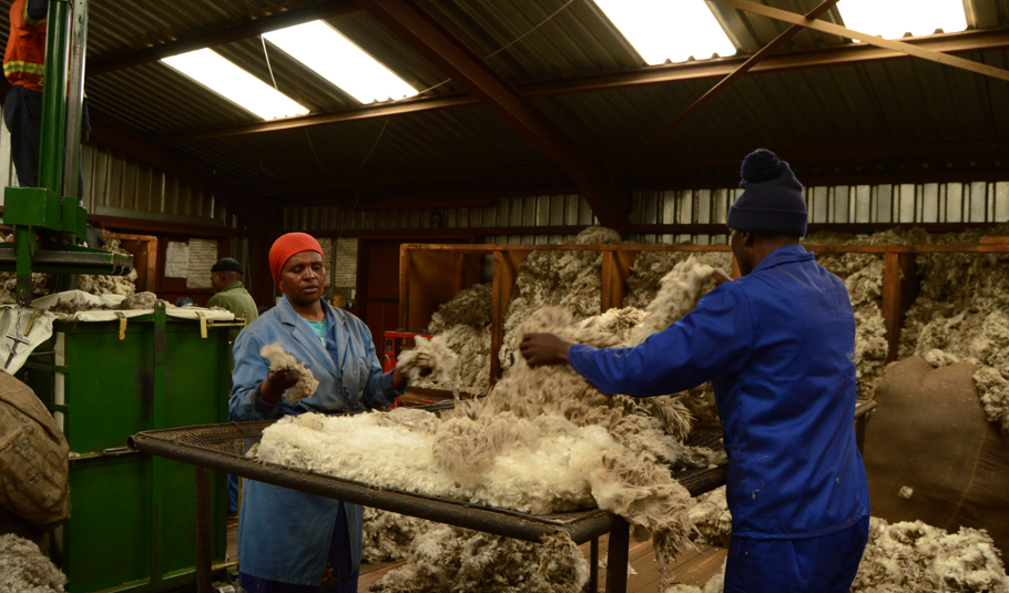 Wool & Mohair Export Permits Go Digital