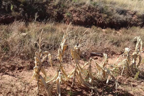 Climate Crisis Comes at a High Price: Lesotho Warned