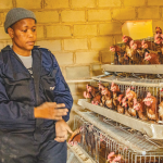 Liketso’s Leap: Youth Grant Turns Poultry Passion into Purpose