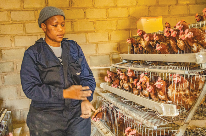 Liketso’s Leap: Youth Grant Turns Poultry Passion into Purpose