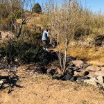 Grassroots Innovation Heals Lesotho’s Eroded Landscapes