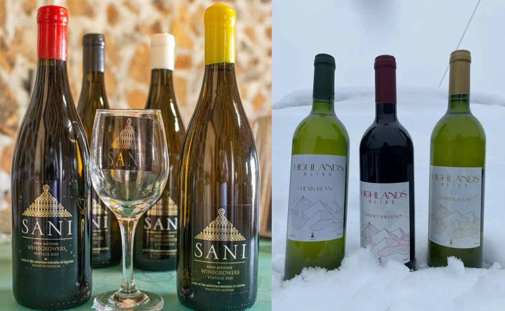 Wine Industry Steadily Growing in Lesotho