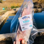 New Dawn for Aquaculture and Fisheries in Lesotho