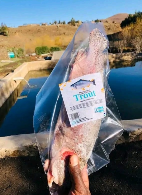 New Dawn for Aquaculture and Fisheries in Lesotho