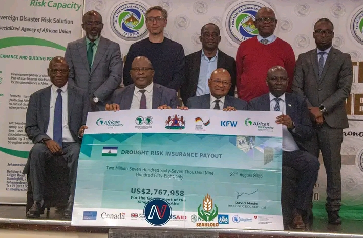 Lesotho Faces Mounting Food Crisis as One in Five Households Go Hungry