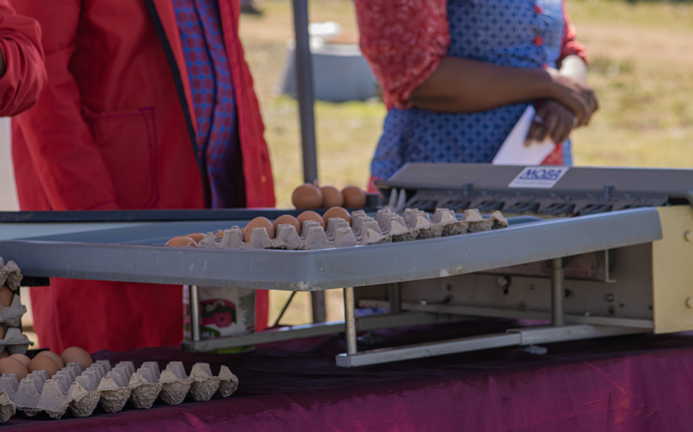Senawi Farm Breaks New Ground in Thaba-Tseka