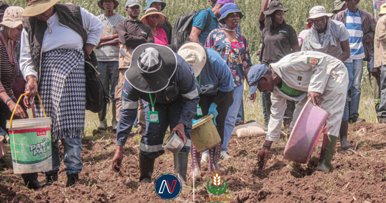 Fodder production workshop in Leribe