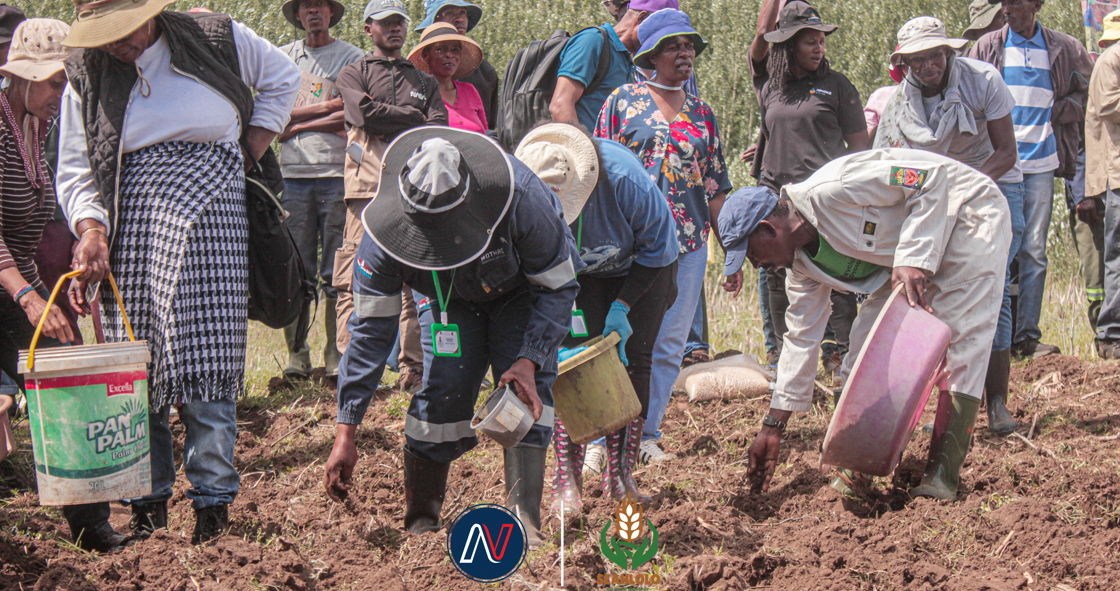 Declining Grazelands Threaten Rural Livelihoods as Farmers Turn to Fodder Production