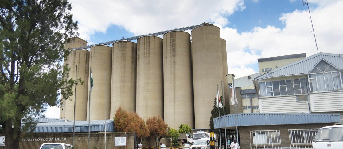 New Hope for Farmers as Lesotho Flour Mills Commits to Buying Grain in Any Quantity