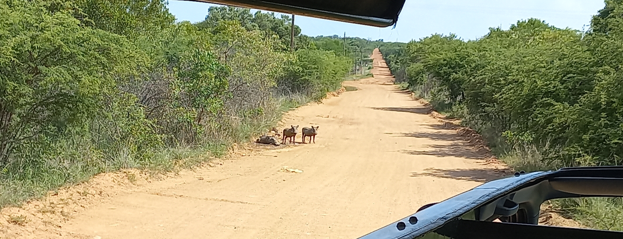 Safeguarding Soils, Vegetation and Wildlife for a Sustainable Future