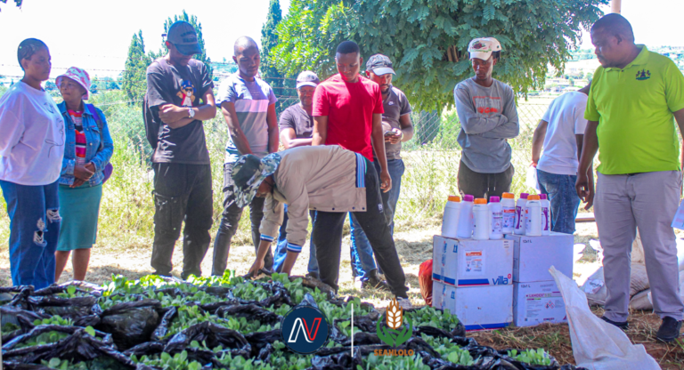 40 More Young Farmers Receives Inputs to Boost Food Production