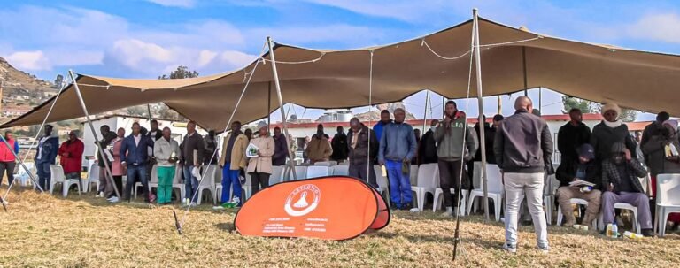 Four Decades On, Lesotho’s Dairy Dream Still Awaits Its Breakthrough